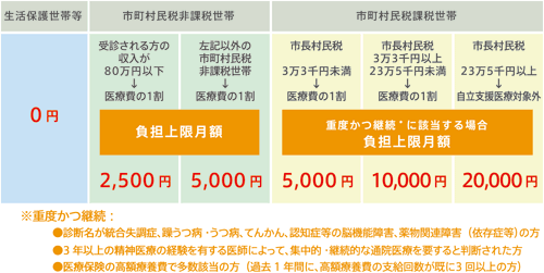 自立支援医療制度